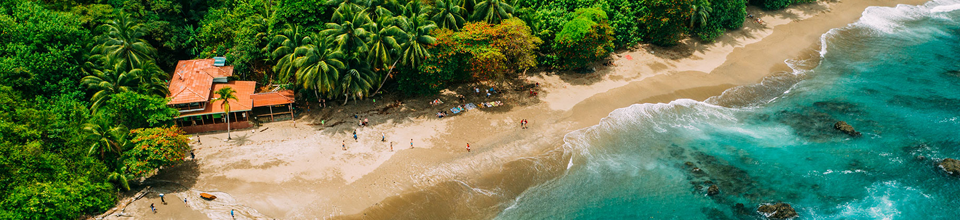 Destino litorâneo com praia de areia, palmeiras e águas azuis cristalinas.